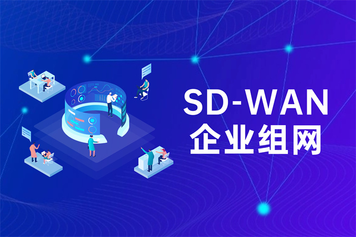 SD-WAN企業組網-3.jpg