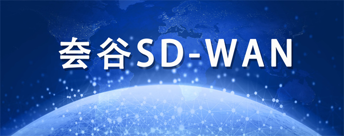 國內sdwan品牌