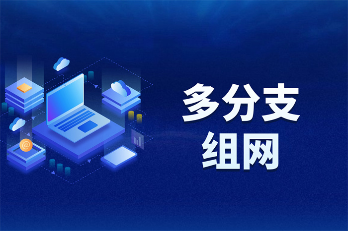 企業多點組網怎么實現