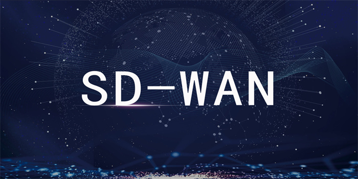 SD-WAN組網所需的設備