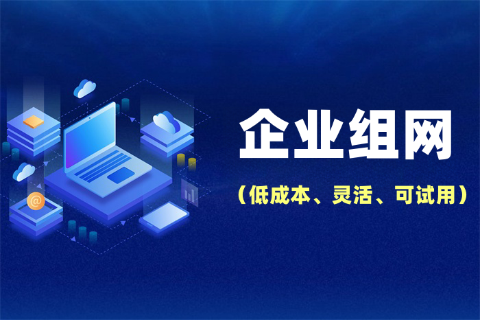 sd-wan組網方案多少錢