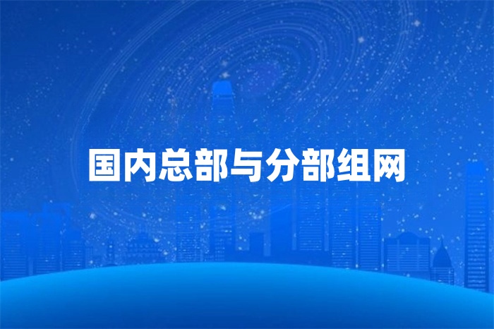 國內企業總部如何與分部怎么組網