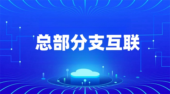 總公司如何與分公司進行組網