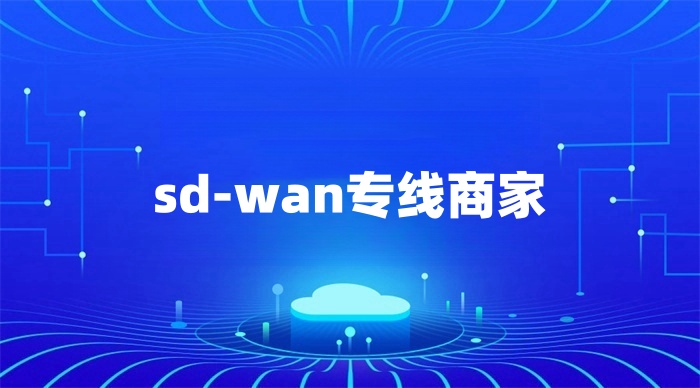 sd-wan服務商
