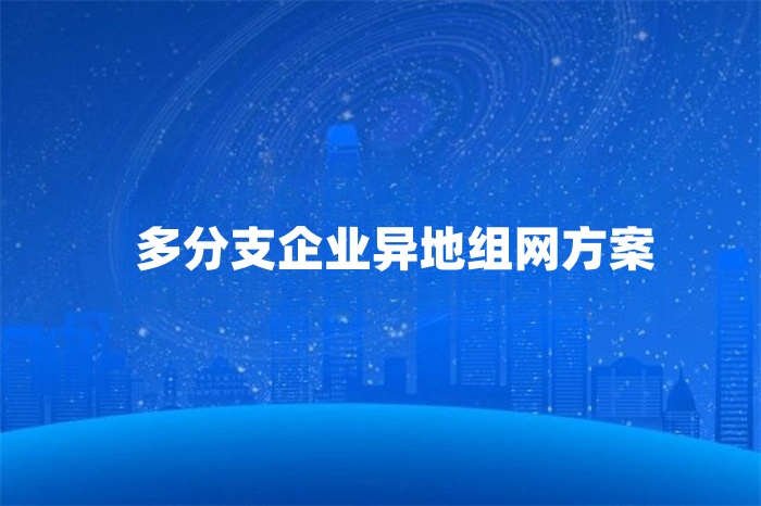 多分支企業異地組網方案
