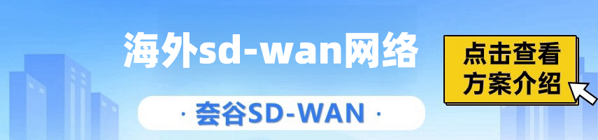 公司怎么訪問海外網絡