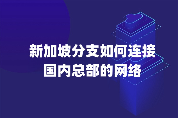 新加坡分支如何連接國內總部的網絡