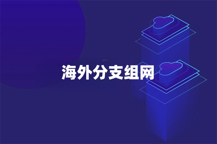 海外分支組網