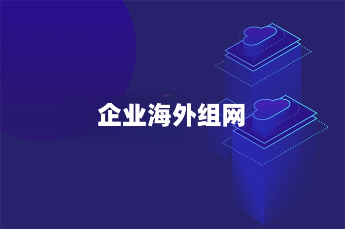 企業(yè)海外組網(wǎng)