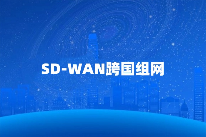 SD-WAN跨國組網