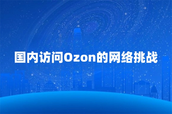 國內(nèi)訪問Ozon很卡怎么辦