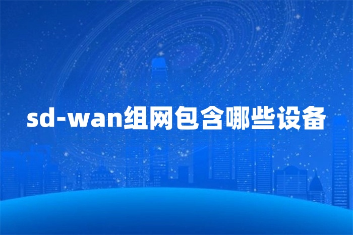 sd-wan組網包含哪些設備