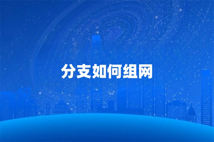 分支如何組網