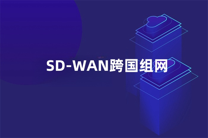 SD-WAN跨國組網(wǎng)