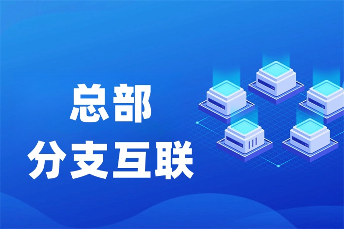SD-WAN能不能實現異地組網