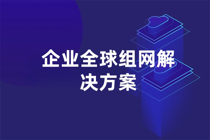 企業全球組網解決方案