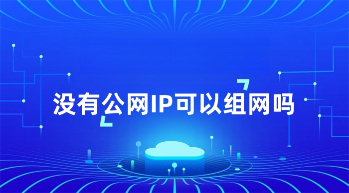 沒有公網(wǎng)IP可以組網(wǎng)嗎