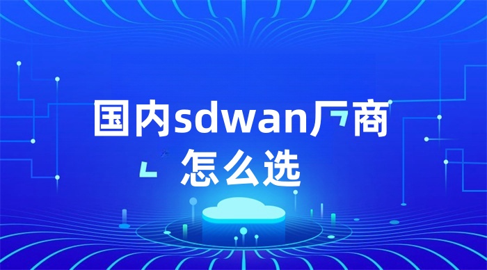 國(guó)內(nèi)sdwan廠商怎么選