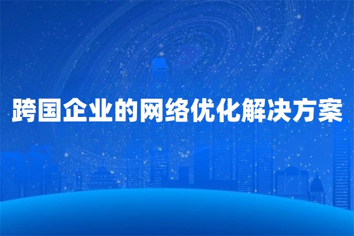 跨國(guó)企業(yè)的網(wǎng)絡(luò)優(yōu)化解決方案