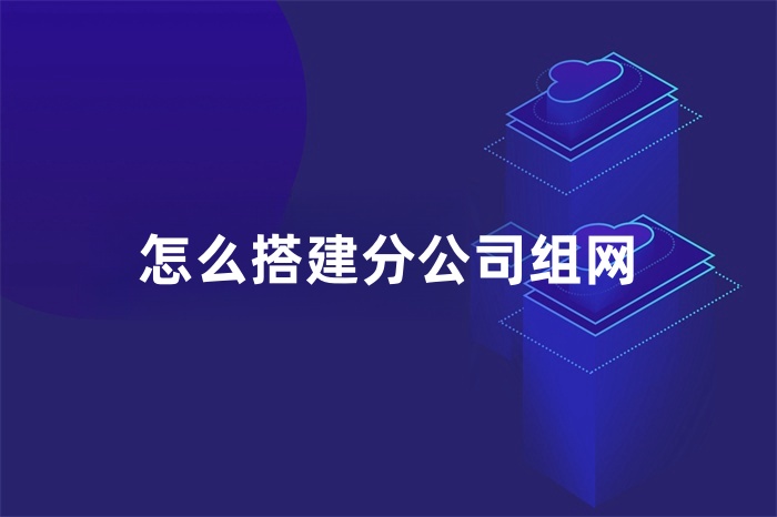 怎么搭建分公司組網