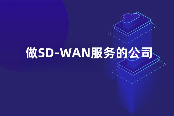 做SD-WAN服務(wù)的公司