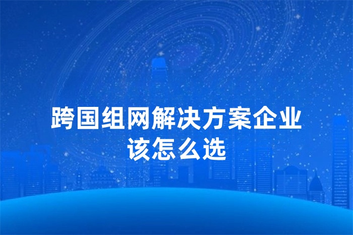 跨國組網(wǎng)解決方案企業(yè)該怎么選