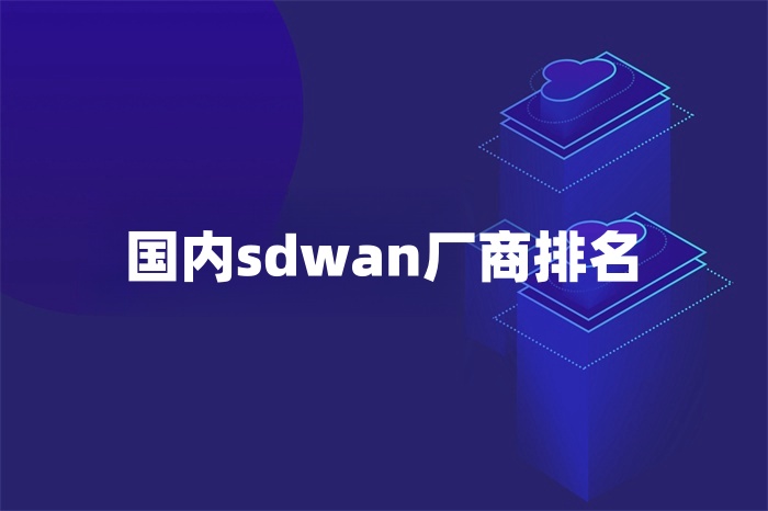 國內(nèi)sdwan廠商排名