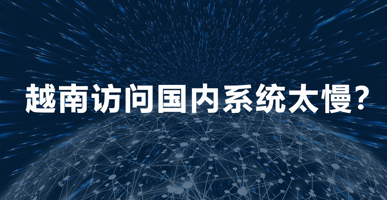 越南訪問國內系統太慢.png